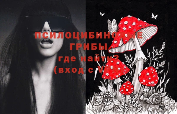 2c-b Нягань
